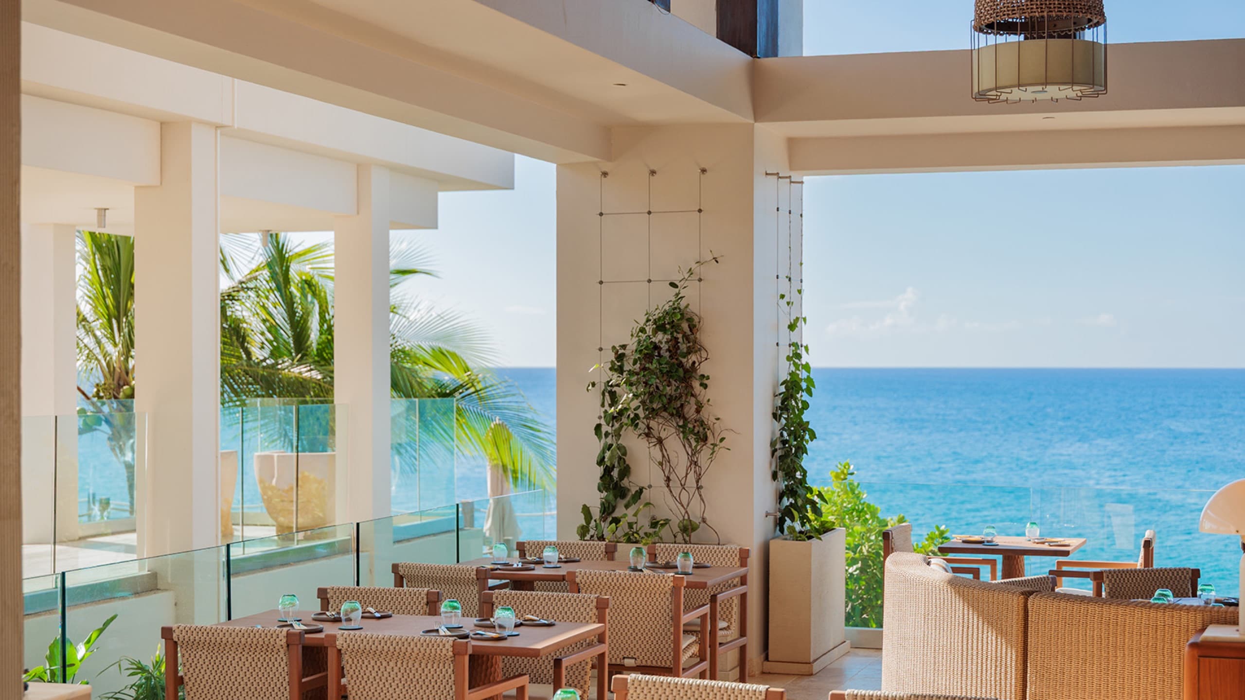 SALT restaurant terrace with rattan chairs and a climbing vine, sea beyond