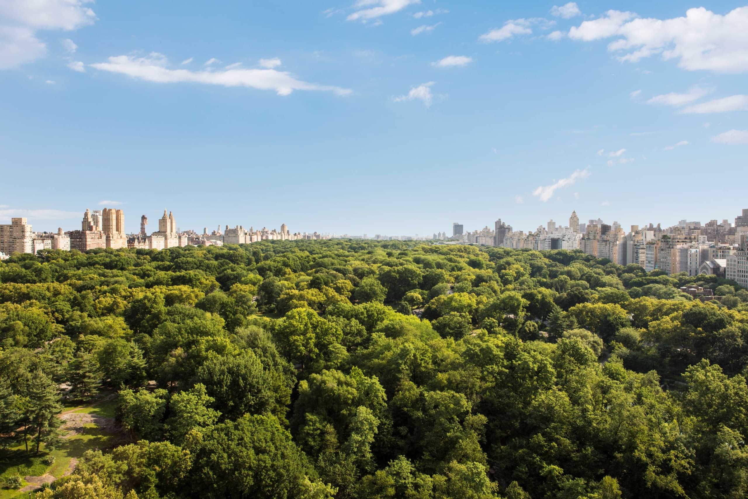 Central Park