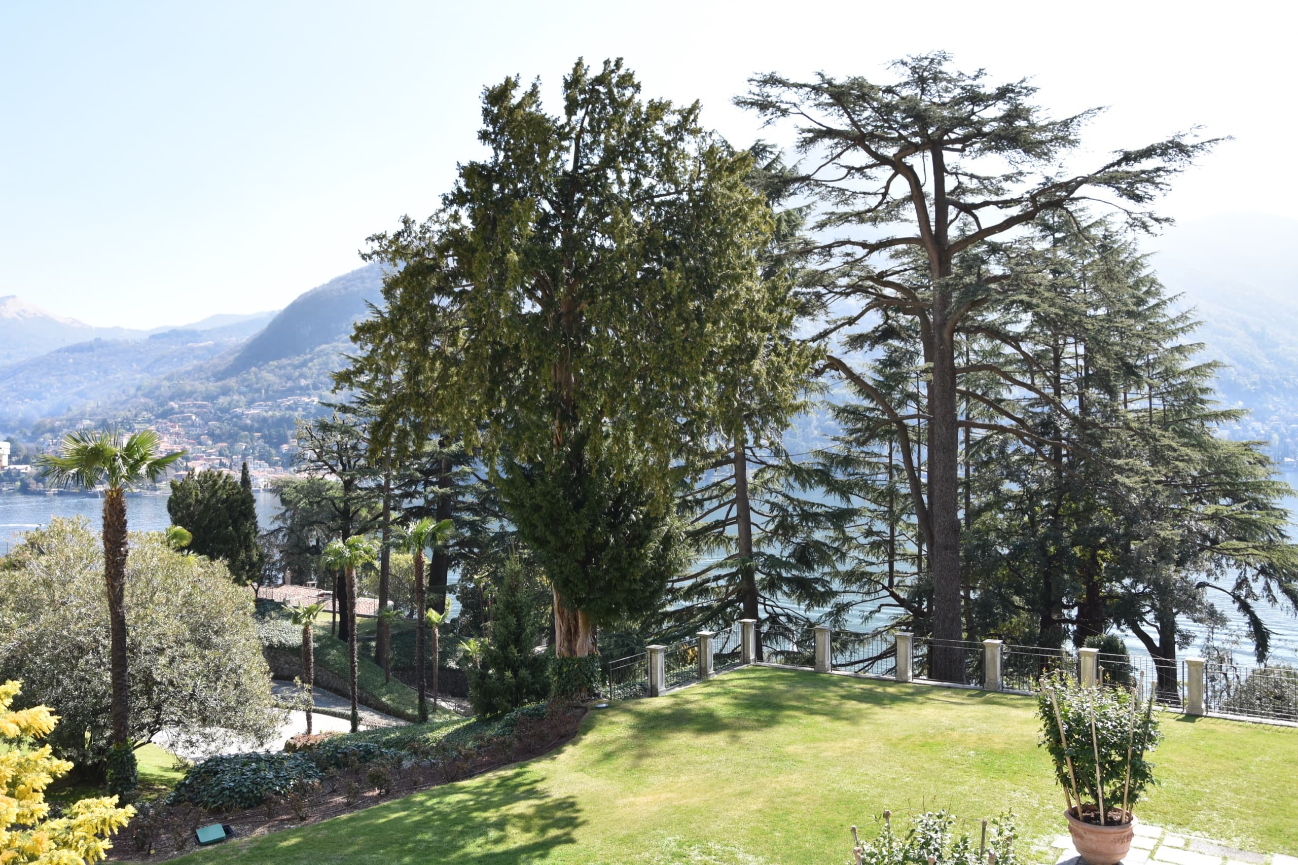 Passalacqua — garden