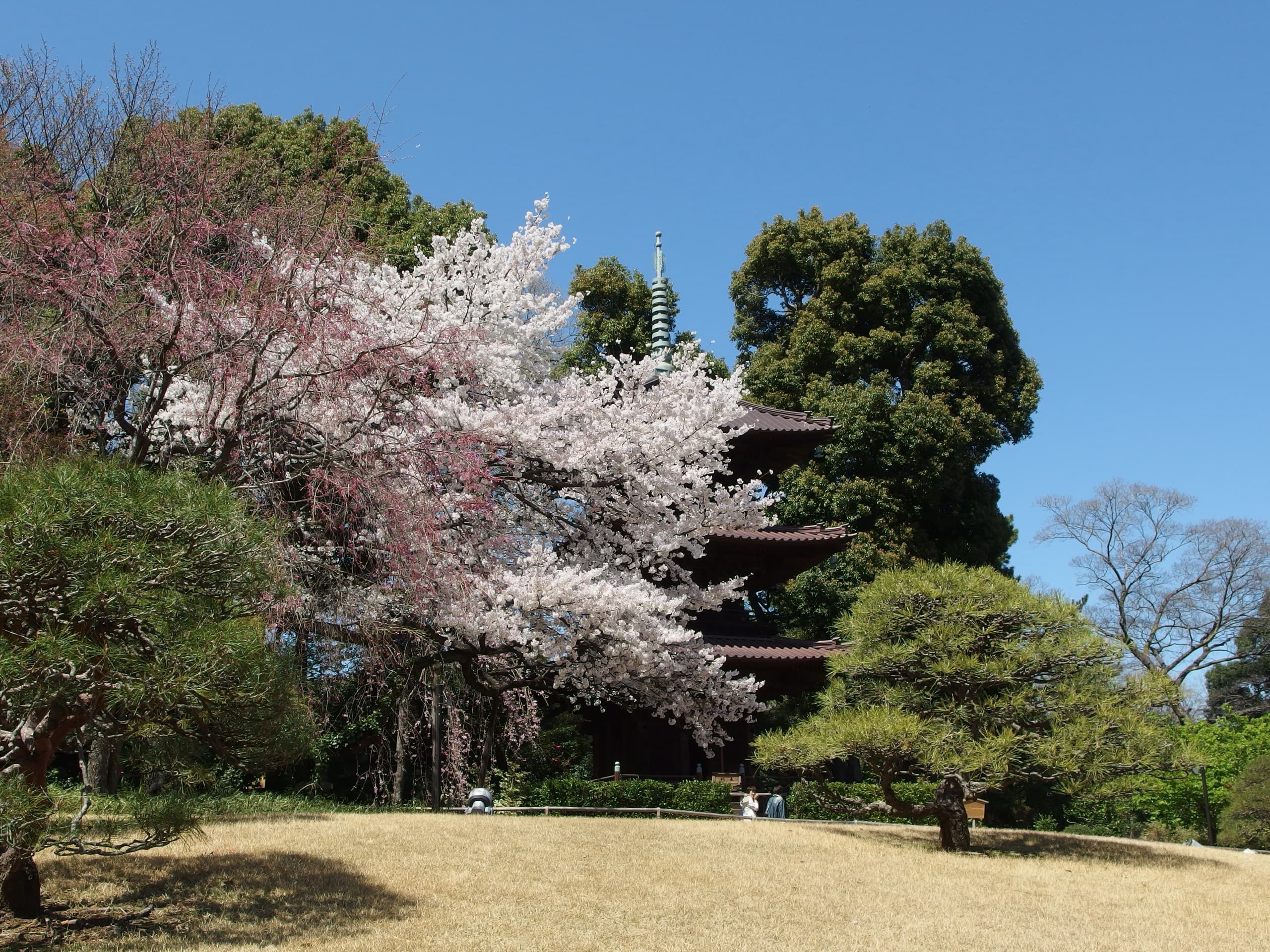 Hotel Chinzanso Tokyo — garden