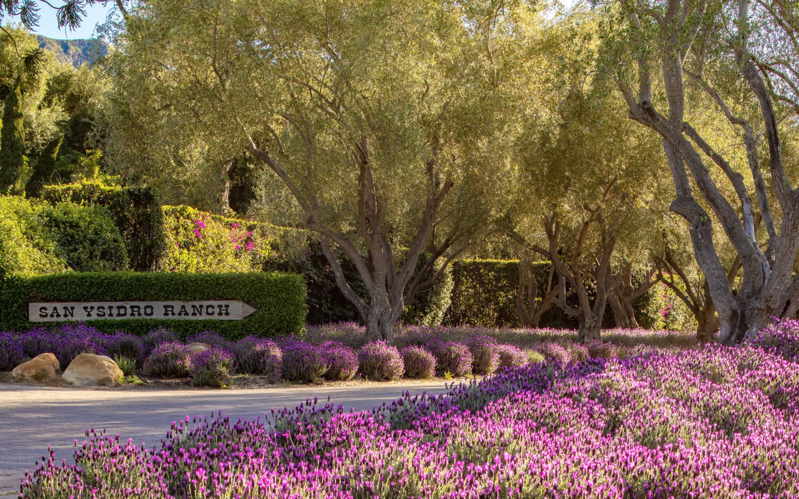 Santa Barbara & Montecito