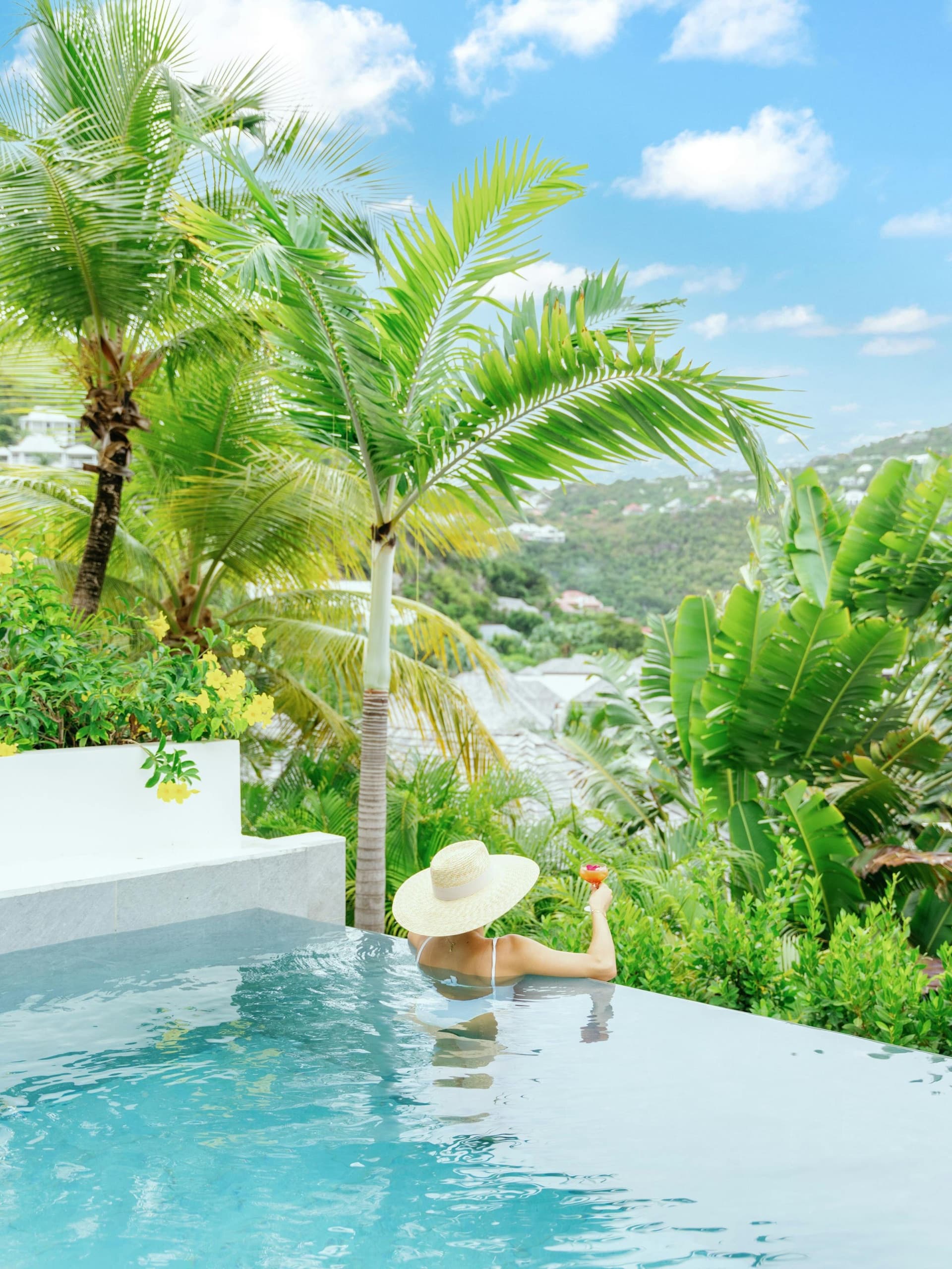 Villa de France infinity pool among the palms above the bay