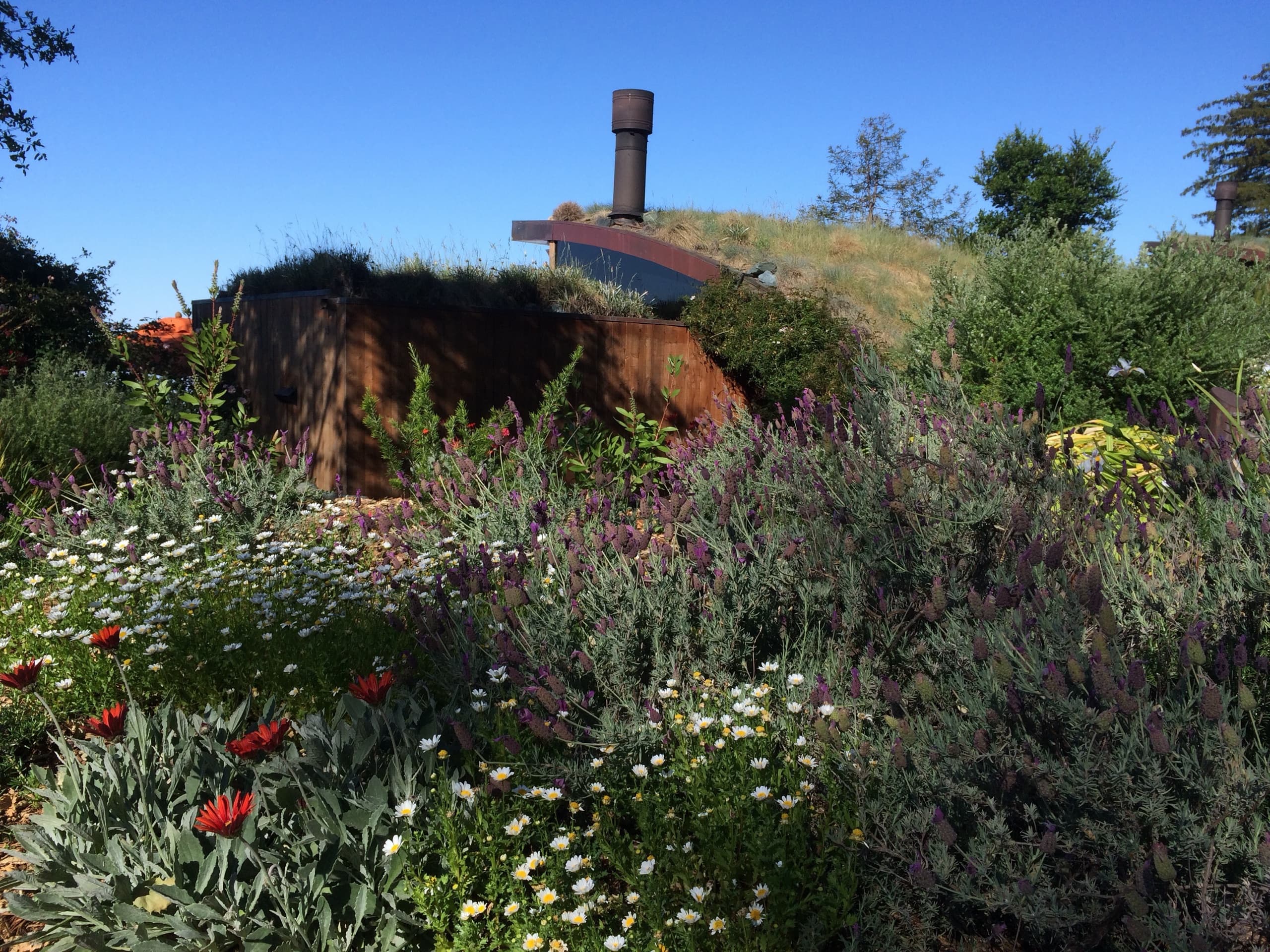 Post Ranch Inn — garden